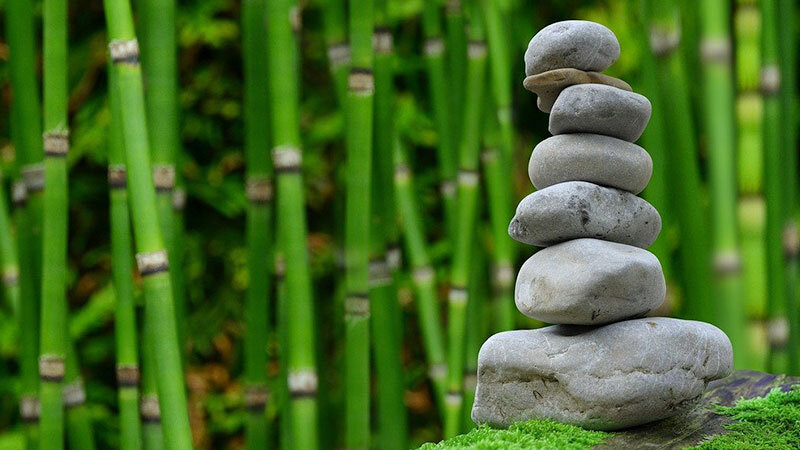 memorial of stones among bamboo forest