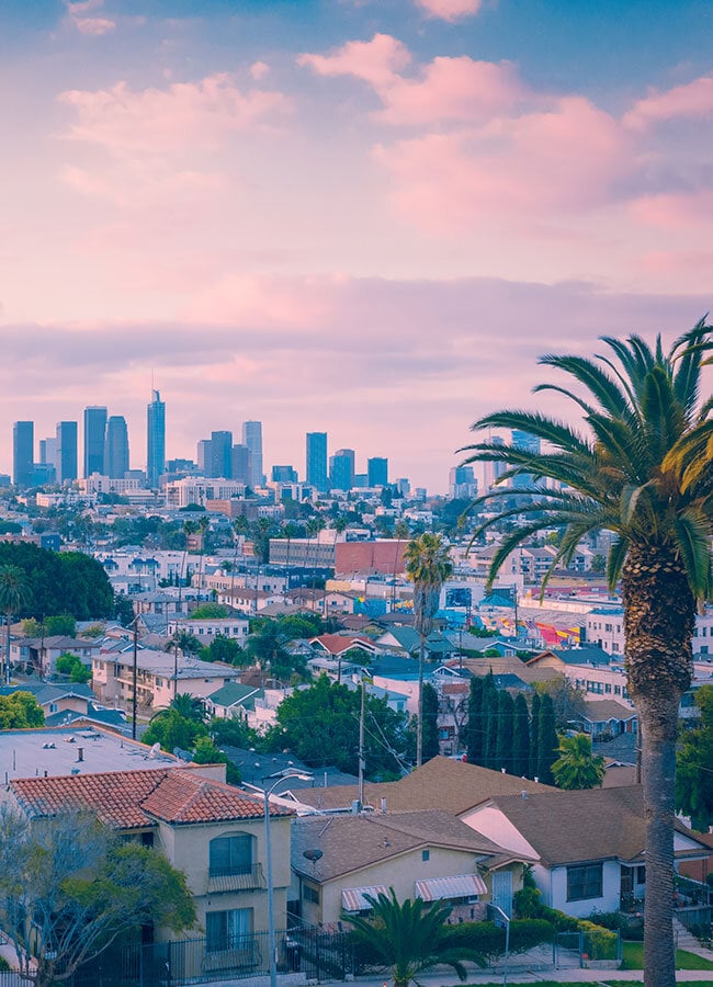 Opal Cremation of Los Angeles County view of downtown los angeles