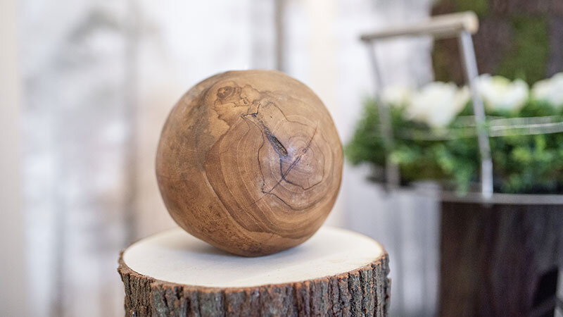 wooden biodegradable urn sitting on tree stump