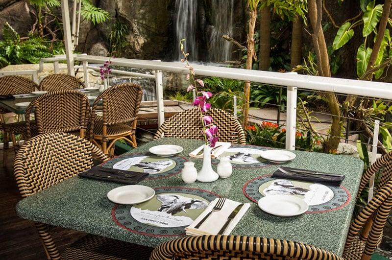 albert's restaurant tree-top table at San Diego zoo