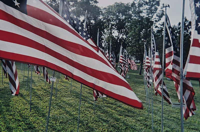 American flags waving in a los angeles cemetery