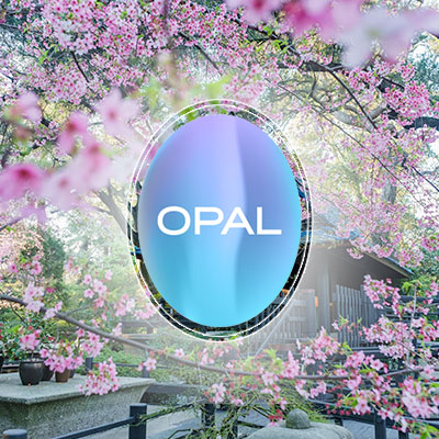 Opal Cremation – Author opal cremation funeral experts - logo on photo of park in LA