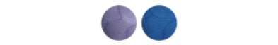 Color Options color swatch