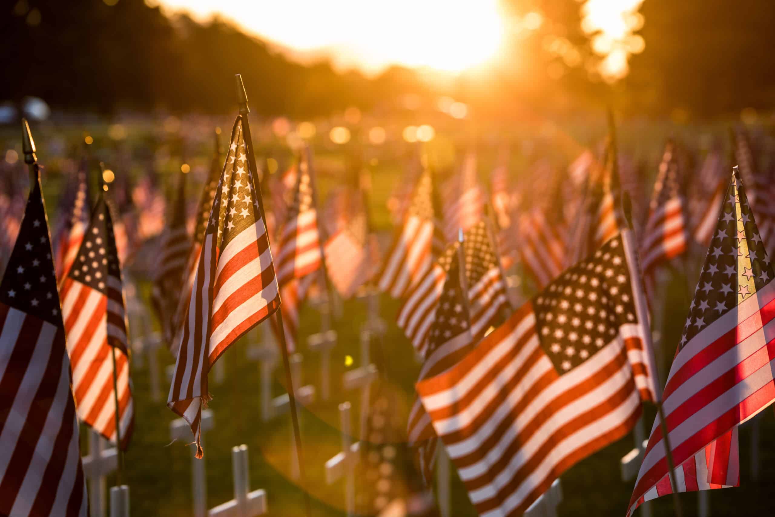 Field of American flags at Sunset- What Memorial Day is really about