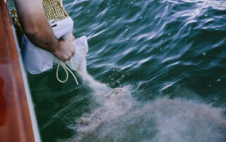 Scattering of ashes into the ocean